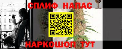шишки Ачхой-Мартан