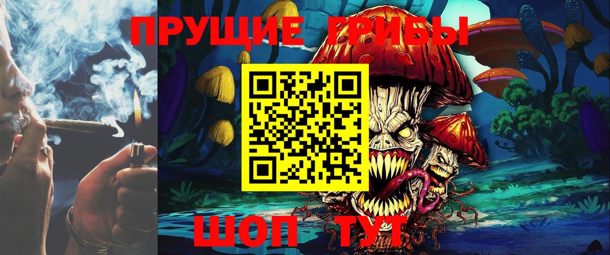 Галлюциногенные грибы Cubensis Янаул